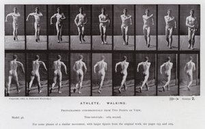 Ihmishahmo liikkeessä: urheilija, kävelevä (m/w kuva) tekijältä Eadweard Muybridge