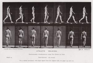 Ihmishahmo liikkeessä: urheilija, kävelevä (m/w kuva) tekijältä Eadweard Muybridge