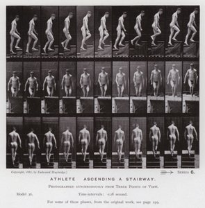 Ihmishahmo liikkeessä: Urheilija, nousemassa portaita pitkin (m/w kuva) tekijältä Eadweard Muybridge