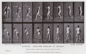 Ihmishahmo liikkeessä: urheilija, keilailu kriketissä (m/v kuva) tekijältä Eadweard Muybridge