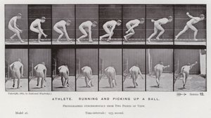 Ihmishahmo liikkeessä: urheilija, juoksemassa ja poimimassa palloa (m/w kuva) tekijältä Eadweard Muybridge