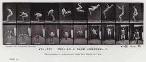 Ihmishahmo liikkeessä: urheilija, kääntää kuperkeikka takaisin (m/w kuva) tekijältä Eadweard Muybridge