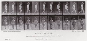 Ihmishahmo liikkeessä: lapsi, kävelevä (m/v kuva) tekijältä Eadweard Muybridge