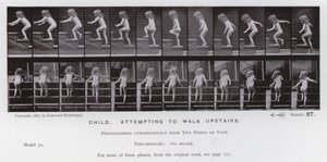 Ihmishahmo liikkeessä: Lapsi, joka yrittää kävellä yläkertaan (m/w kuva) tekijältä Eadweard Muybridge