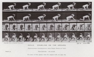 Ihmishahmo liikkeessä: Lapsi ryömii maassa tekijältä Eadweard Muybridge