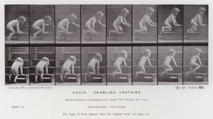 Ihmishahmo liikkeessä: Lapsi ryömii yläkertaan (m/w kuva) tekijältä Eadweard Muybridge