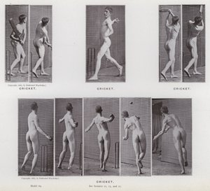 Ihmishahmo liikkeessä: Kriketti (m/v kuva) tekijältä Eadweard Muybridge