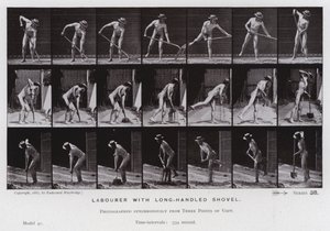 Ihmishahmo liikkeessä: Työmies pitkävartisella lapiolla (m/v kuva) tekijältä Eadweard Muybridge