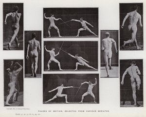 Ihmishahmo liikkeessä: liikkeen vaiheet, valittu eri sarjoista (m/w kuva) tekijältä Eadweard Muybridge