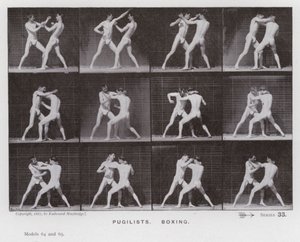 Ihmishahmo liikkeessä: Pugilistit, nyrkkeily (m/v kuva) tekijältä Eadweard Muybridge