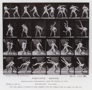 Ihmishahmo liikkeessä: Pugilistit, nyrkkeily (m/v kuva) tekijältä Eadweard Muybridge