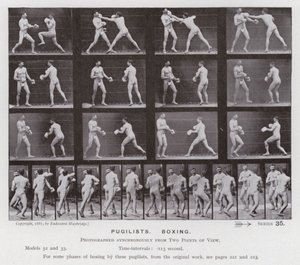 Ihmishahmo liikkeessä: Pugilistit, nyrkkeily (m/v kuva) tekijältä Eadweard Muybridge