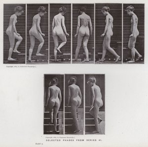 Ihmishahmo liikkeessä: valitut vaiheet sarjasta 41 (m/v kuva) tekijältä Eadweard Muybridge