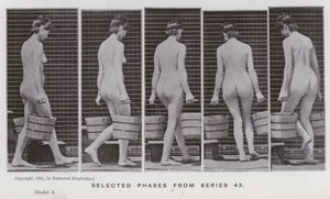 Ihmishahmo liikkeessä: Valitut vaiheet sarjasta 43 (m/v kuva) tekijältä Eadweard Muybridge