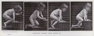Ihmishahmo liikkeessä: Valitut vaiheet sarjasta 86 (m/v kuva) tekijältä Eadweard Muybridge