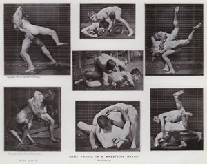 Ihmishahmo liikkeessä: Joitakin vaiheita painiottelussa (m/w kuva) tekijältä Eadweard Muybridge