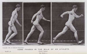 Ihmishahmo liikkeessä: Jotkut urheilijan kävelyn vaiheet (m/w kuva) tekijältä Eadweard Muybridge