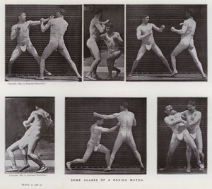 Ihmishahmo liikkeessä: Nyrkkeilyottelun eräitä vaiheita (m/v kuva) tekijältä Eadweard Muybridge