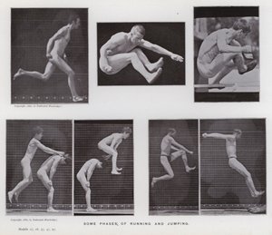 Ihmishahmo liikkeessä: Jotkut juoksun ja hyppäämisen vaiheet (m/w kuva) tekijältä Eadweard Muybridge