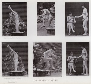 Ihmishahmo liikkeessä: Erilaisia liiketoimia (m/w kuva) tekijältä Eadweard Muybridge
