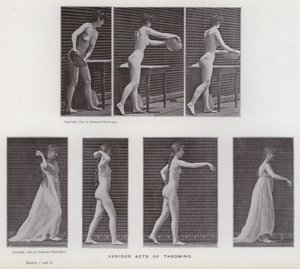 Ihmishahmo liikkeessä: erilaisia heittoja (m/w kuva) tekijältä Eadweard Muybridge