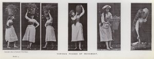 Ihmishahmo liikkeessä: liikkeen eri vaiheita (m/w kuva) tekijältä Eadweard Muybridge