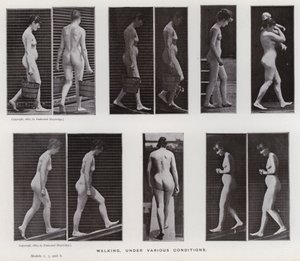 Ihmishahmo liikkeessä: Kävely, eri olosuhteissa (m/w kuva) tekijältä Eadweard Muybridge
