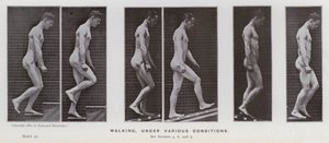 Ihmishahmo liikkeessä: Kävely, eri olosuhteissa (m/w kuva) tekijältä Eadweard Muybridge