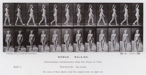 Ihmishahmo liikkeessä: nainen, kävelevä (m/w kuva) tekijältä Eadweard Muybridge