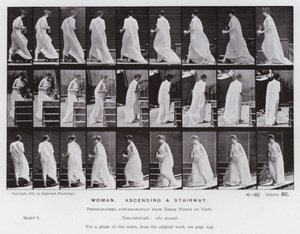 Ihmishahmo liikkeessä: Nainen nousemassa portaita pitkin (m/w kuva) tekijältä Eadweard Muybridge