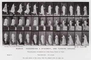 Ihmishahmo liikkeessä: Nainen laskeutuu portaita pitkin ja kääntyy ympäri (m/v kuva) tekijältä Eadweard Muybridge