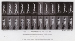Ihmishahmo liikkeessä: Nainen laskeutumassa rinnettä (m/w kuva) tekijältä Eadweard Muybridge