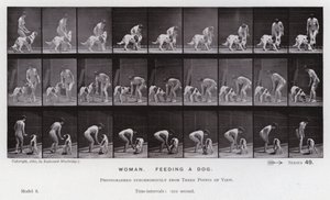Ihmishahmo liikkeessä: Nainen ruokkimassa koiraa (m/w kuva) tekijältä Eadweard Muybridge