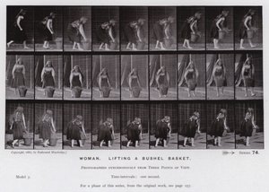 Ihmishahmo liikkeessä: Nainen nostamassa vakakoria (valkoinen kuva) tekijältä Eadweard Muybridge