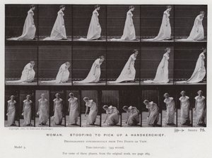 Liikkeessä oleva ihmishahmo: Nainen kumartumassa ottamaan nenäliinan (m/w kuva) tekijältä Eadweard Muybridge