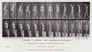 Ihmishahmo liikkeessä: nainen, kääntyvä ja nouseva portaat (m/w kuva) tekijältä Eadweard Muybridge