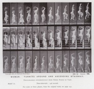 Ihmishahmo liikkeessä: Nainen, kääntyy ympäri ja nousee portaikkoa (m/w kuva) tekijältä Eadweard Muybridge