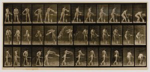 Nainen tyhjentää vesialtaan, kirjasta Animal Locomotion (Eläinten liikkuminen). tekijältä Eadweard Muybridge