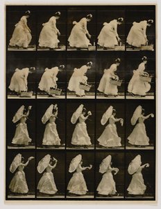 Nainen nostaa koria, heiluttaa nenäliinaa, kirjasta Animal Locomotion (Eläinten liikkuminen). tekijältä Eadweard Muybridge