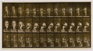 Nainen istuu, jalat ristissä, juo teekupista, kirjasta Animal Locomotion (Eläinten liikkuminen). tekijältä Eadweard Muybridge