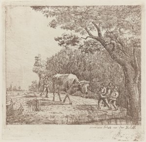 Neljä miestä ja härkä One Wild Bull (otsikko esineessä) tekijältä Eberhard Cornelis Rahms