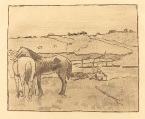 Hevoset niityllä Hevoset niityllä, 18911892. tekijältä Edgar Degas
