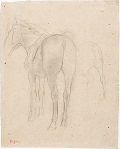 Hevosen opintoja tekijältä Edgar Degas