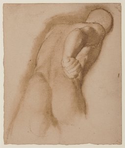 Tutkimus Agasiaksen Efesolaisen, "Gladiaattori Borghesen" mukaan, n. 1855 tekijältä Edgar Degas