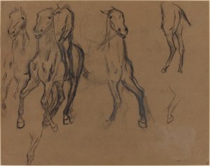Study of Horses, n. 1886 (hiili ja grafiitti ruskealla paperilla) tekijältä Edgar Degas