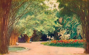 Bamboo Grove - Kasvitieteellinen puutarha, 1914