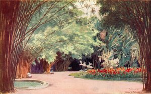 Bamboo Grove, kasvitieteellinen puutarha (väri litho)