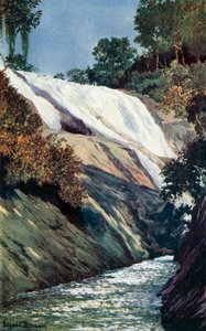 The Cascade at Tijuca, Rio (väri litho)