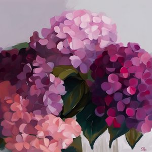 Värikkäät hydrangeakukat