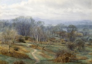 Hampstead Heath Looking Towards Harrow on the Hill, n. 1880 (wc paperilla) tekijältä Edith Martineau